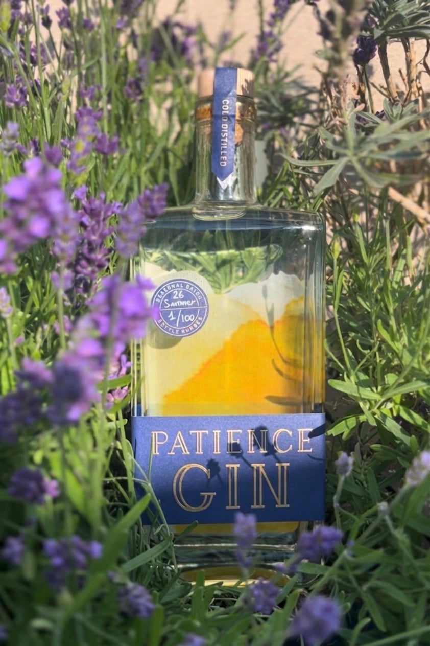 A bottle of Patience Gin surrounded by green foliage and purple lavender flowers. The square glass bottle has a blue label with gold lettering and a blue neck seal.