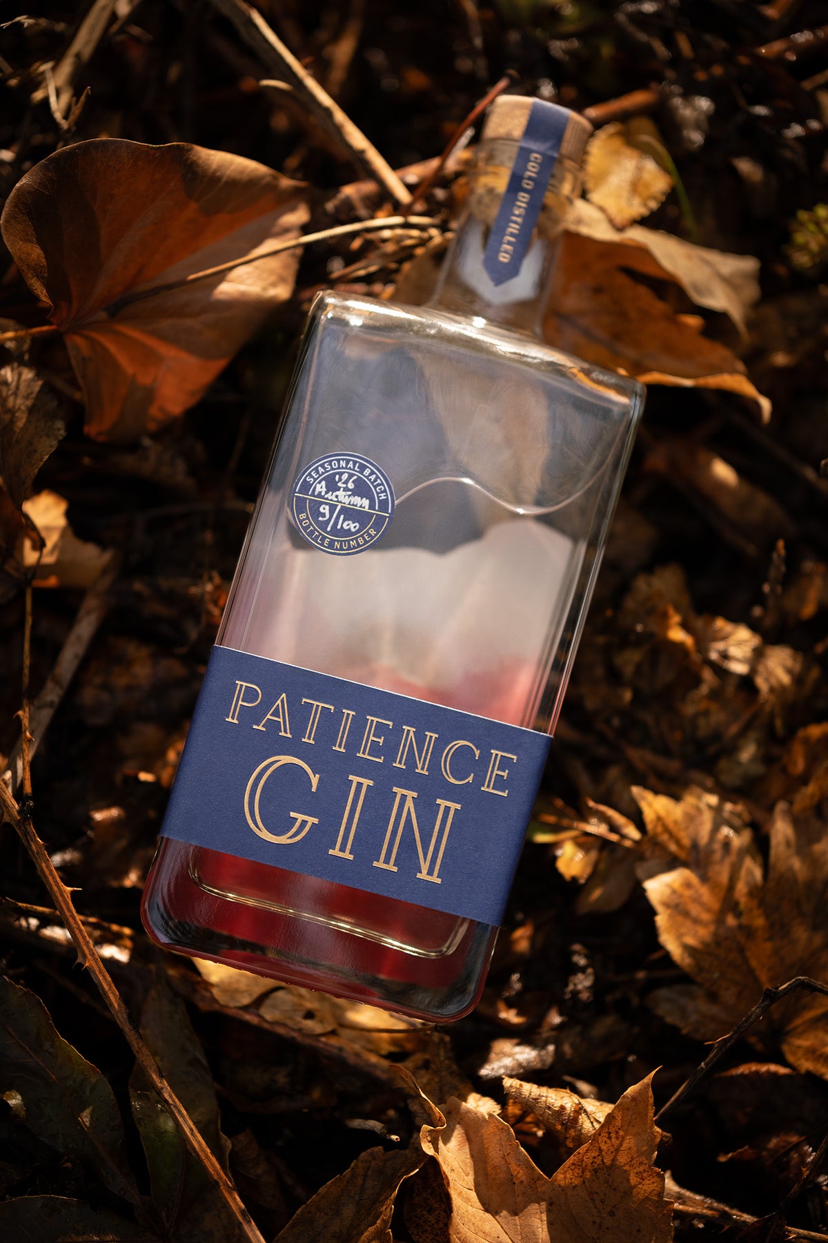 A bottle of Patience Autumn Gin gin 2026 is placed on a bed of dry brown autumn leaves. The bottle is clear glass with a prominent blue label featuring gold lettering that reads 'PATIENCE GIN'.
