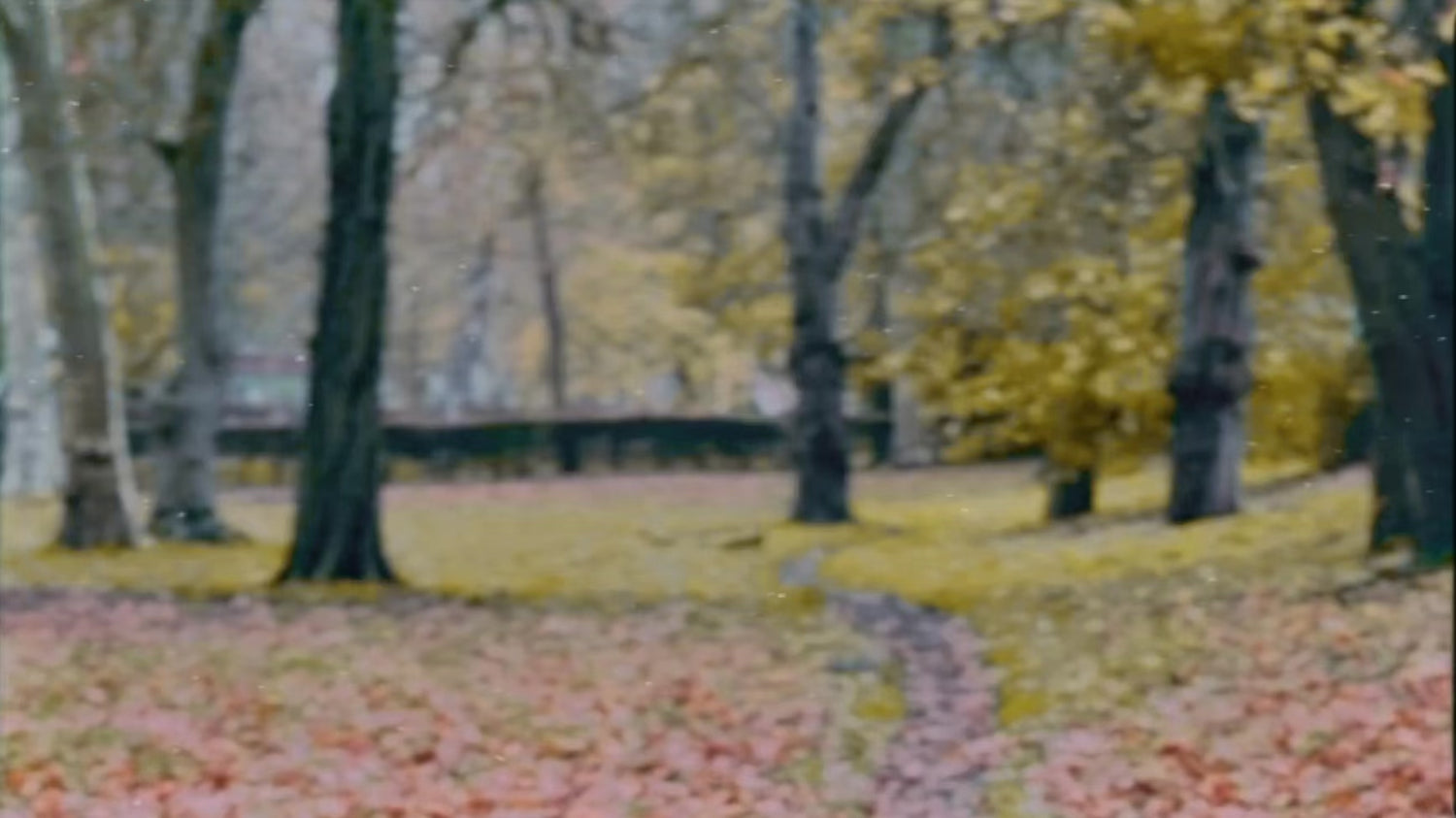 Patience Winter Gin seasonal video, exploring the taste of winter